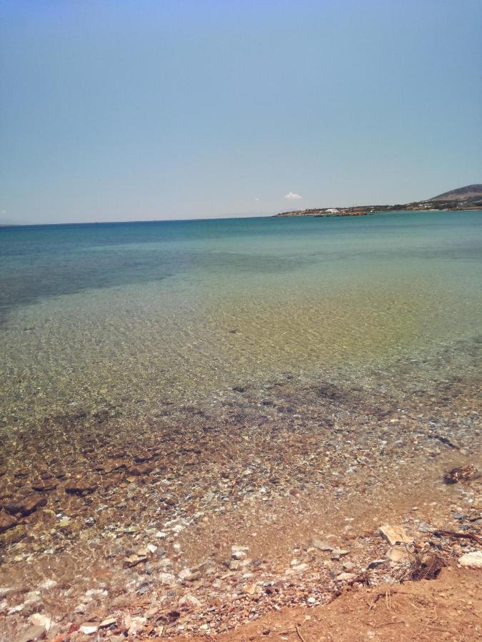 Sandy Beach House Antiparos Town Exteriér fotografie